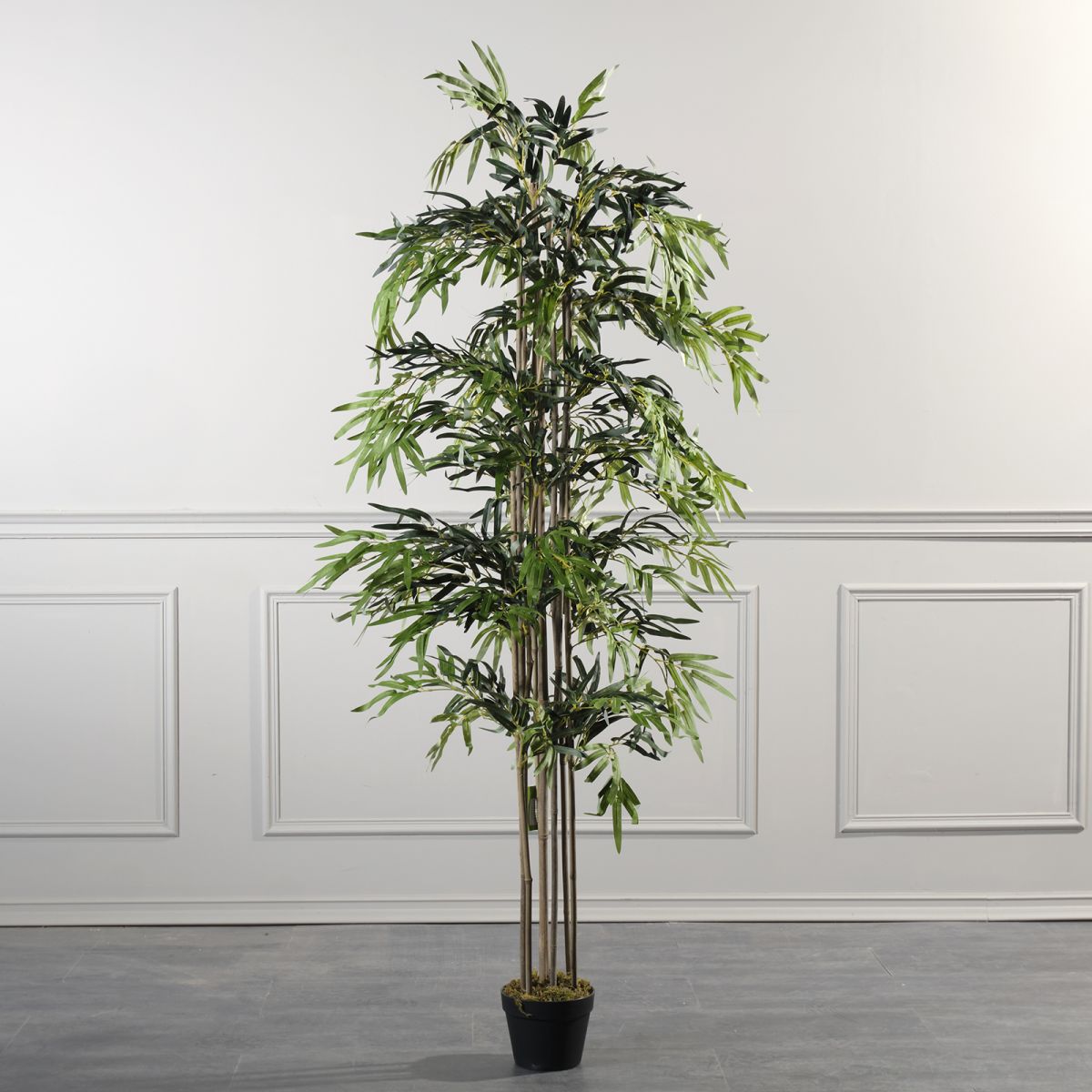 /filemanager/supergreens/6-0340 copy.jpg